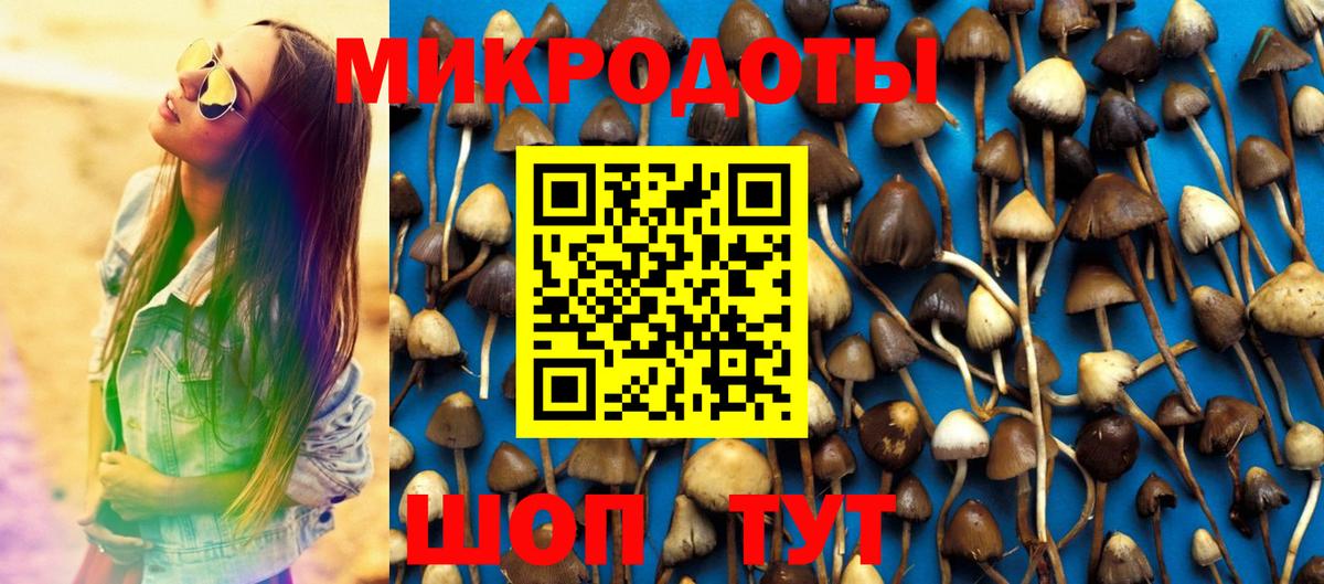 Красноперекопск  Псилоцибиновые грибы прущие грибы  Вход с VPN 